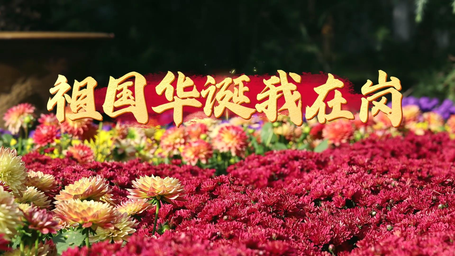 祖国华诞我在岗